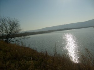 S6303137.JPG