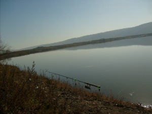 S6303144.JPG