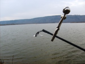 S6303165.JPG