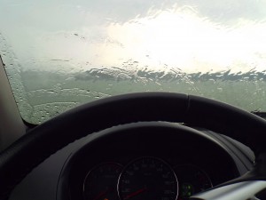 1006.JPG