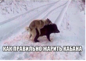 Скриншот 29-11-2015 061323.png