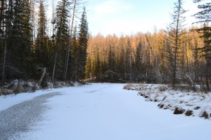 DSC_0172.JPG