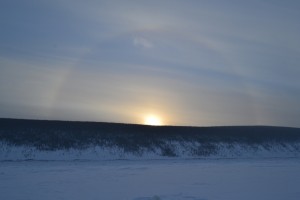 DSC_0920.JPG