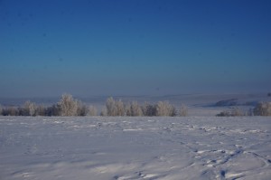DSC04777.JPG