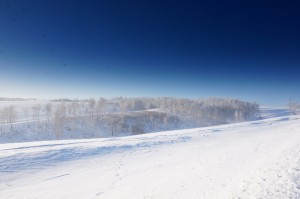 DSC04782.JPG