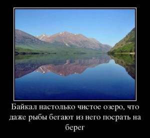 бике.jpg