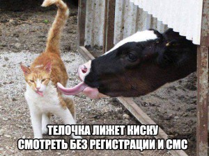 тела.jpg
