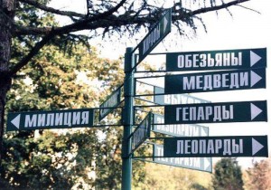 зоо.jpg