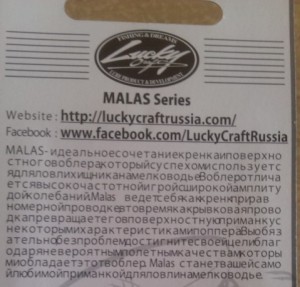 IMAG0721.jpg