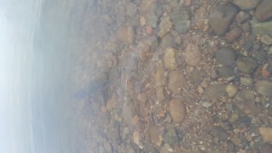 20160526_192206.jpg