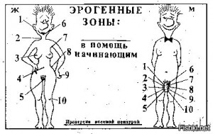 Эрог зоны.jpg