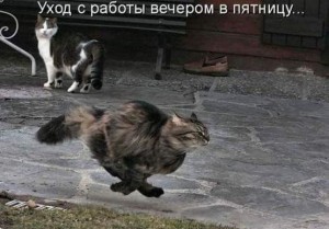 пятница.jpg