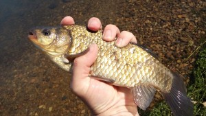 20160620_095836.jpg