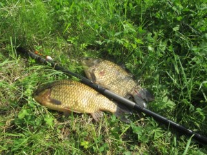 IMG_1127.JPG