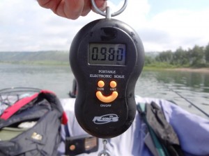 Вес 980 гр.JPG