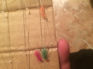 IMG_5426.JPG