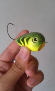 IMAG0851.jpg