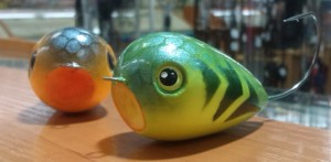 IMAG0855.jpg