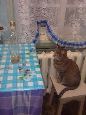 Кошкамана.jpg
