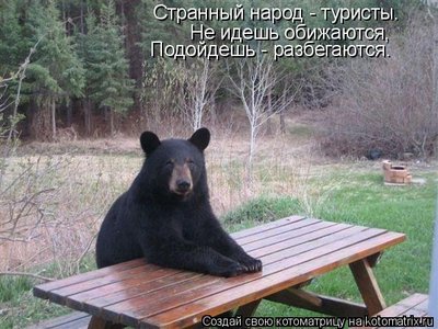 91.jpg