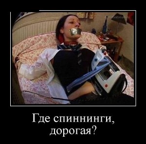спин.jpg