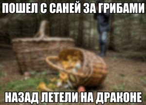 грыб.jpg