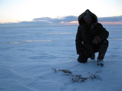 IMG_1326.jpg