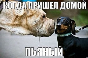 пьянь.jpg