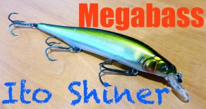 ito shiner.jpg