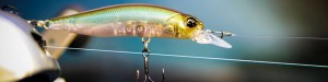 Realis_Rozante_63SP_header.jpg