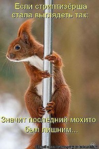 стрип.jpeg