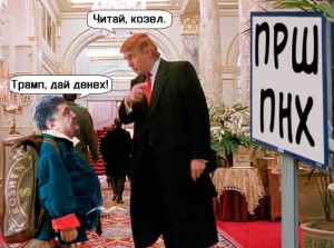 трамп.jpg