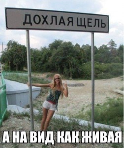 фрида.jpg