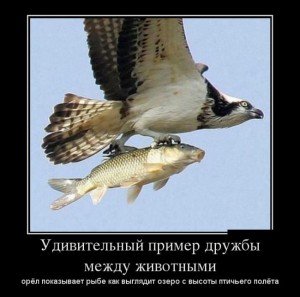 друг.jpg