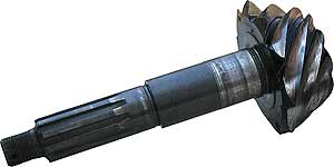 vedshest-gaz-s.jpg