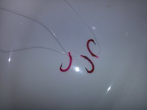 20170418_194950.jpg