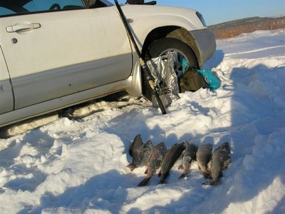 январь 2011 ПНМ.JPG