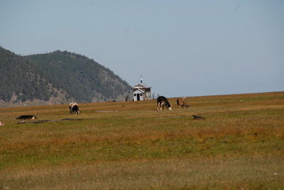ALV_2422.JPG