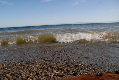 ALV_2458.JPG