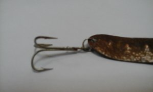 20170504_170151.jpg