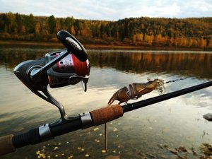IMG_20170916_135001.jpg