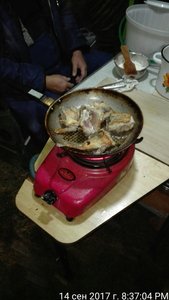 20170914_203703_IMG.jpg