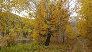 IMG-20170916-WA0009.jpg