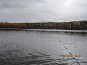 Озеро П.jpg