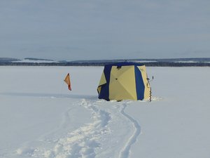 DSC02080.JPG
