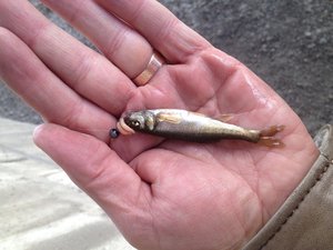 IMG_3192.JPG