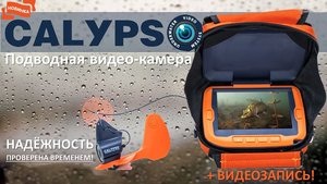 calypso.jpg