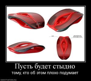 587.jpg