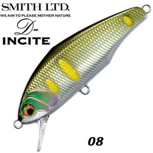 smith-d-incite-44-08.jpg