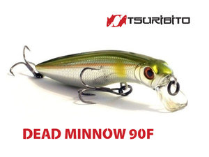 dead minnow.jpg